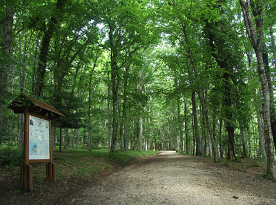 PARCO NAZIONALE GARGANO SAN GIOVANNI ROTONDO