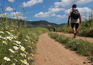 "trekking Gargano"