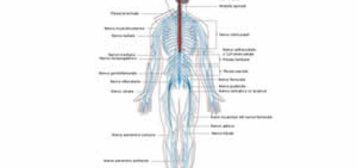 convegno neurologia san giovanni rotondo