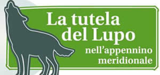 corso di formazione tutela del lupo